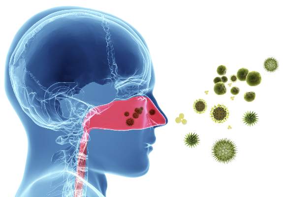 nose-allergic-rhinitis-dr-meenesh-juvekar-ent-specialist