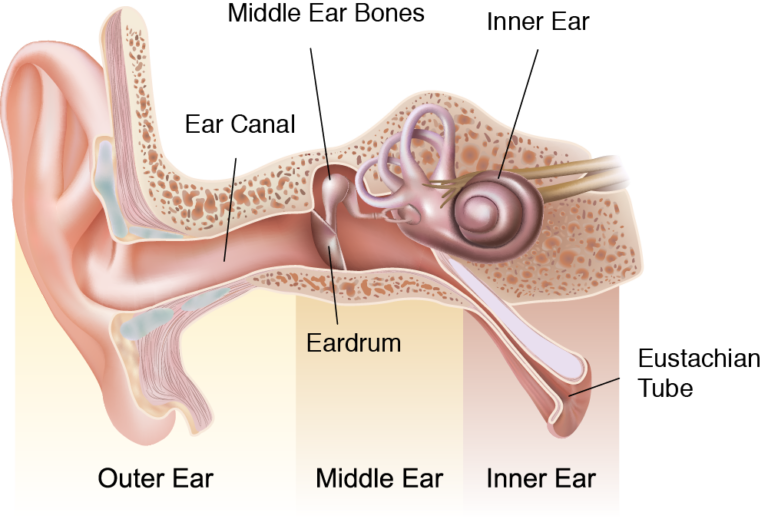 ear - CHOLESTEATOMA - Dr. Meenesh Juvekar - ENT Specialist