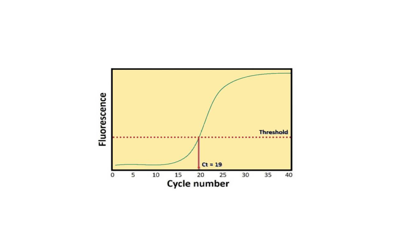 what-is-the-meaning-of-ct-value-in-the-covid-test-dr-meenesh